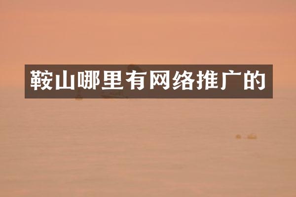 鞍山哪里有网络推广的
