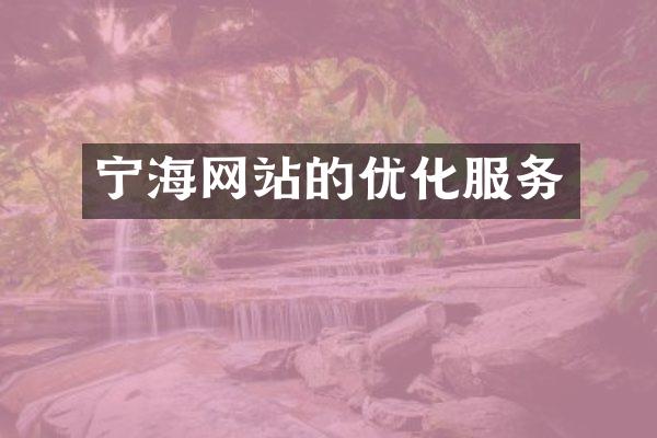 宁海网站的优化服务