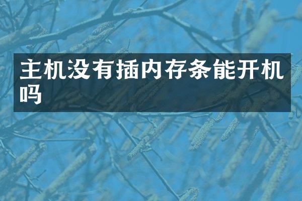 主机没有插内存条能开机吗
