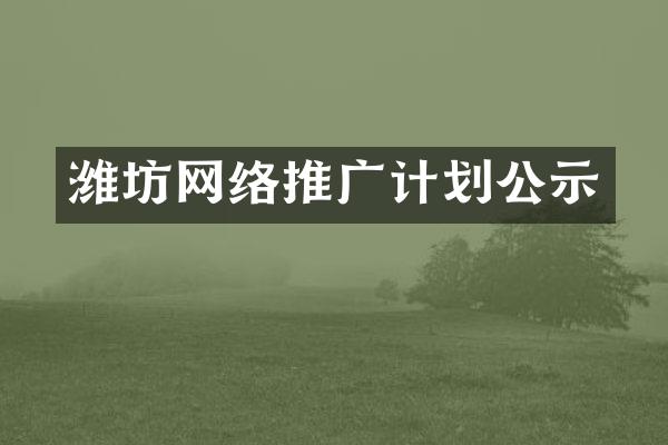 潍坊网络推广计划公示