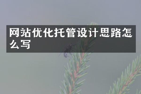 网站优化托管设计思路怎么写