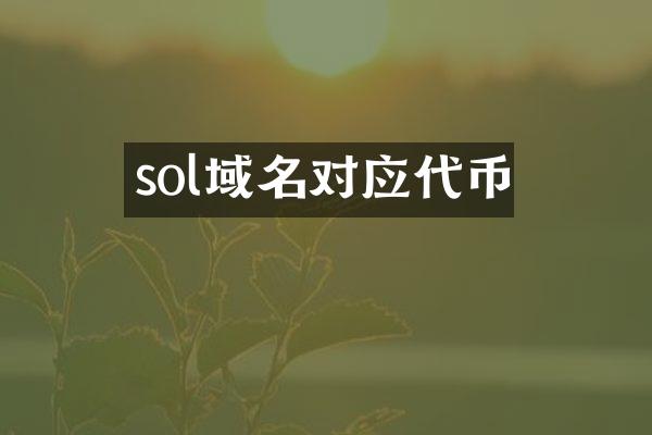 sol域名对应代币