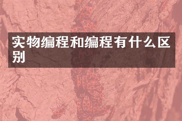 实物编程和编程有什么区别
