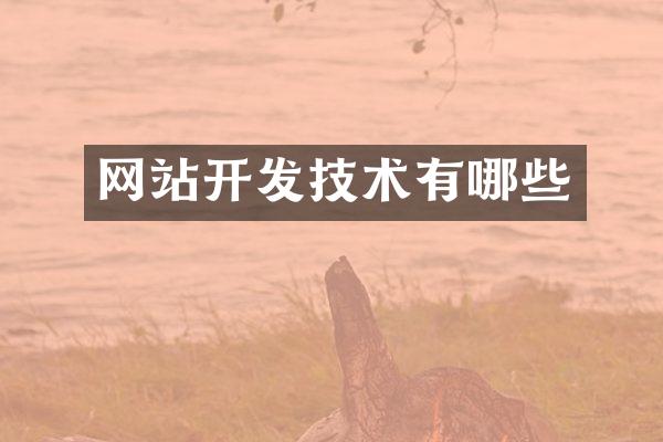 网站开发技术有哪些