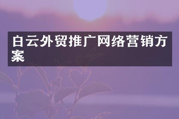 白云外贸推广网络营销方案