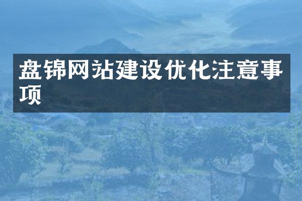 盘锦网站建设优化注意事项