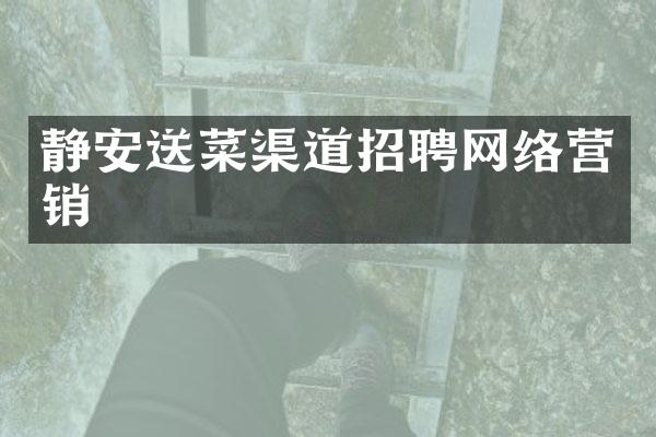 静安送菜渠道招聘网络营销