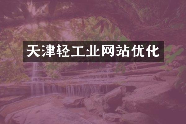 天津轻工业网站优化