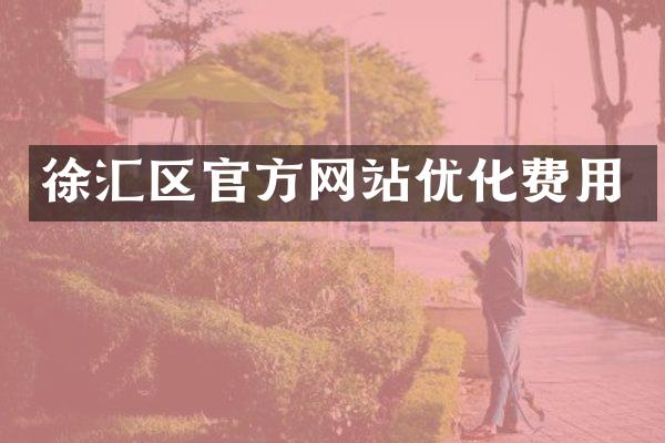 徐汇区官方网站优化费用