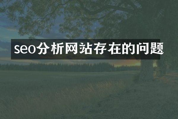 seo分析网站存在的问题
