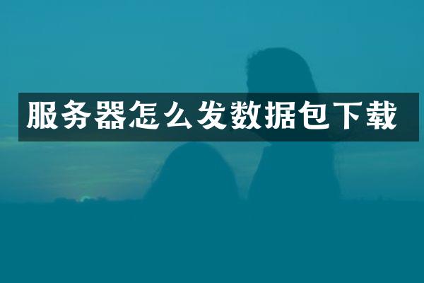 服务器怎么发数据包下载