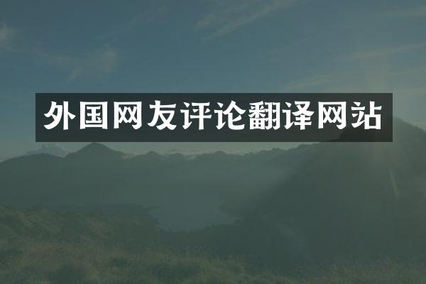 外国网友评论翻译网站