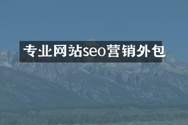 专业网站seo营销外包