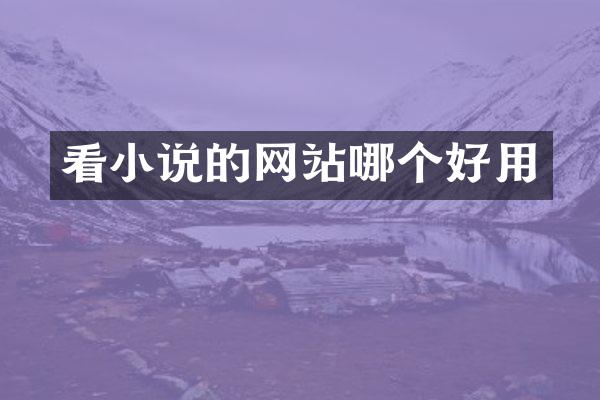 看小说的网站哪个好用