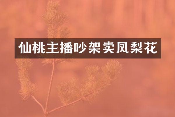 仙桃主播吵架卖凤梨花