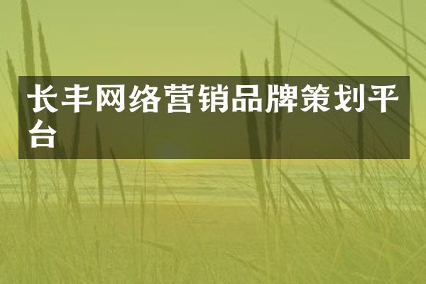 长丰网络营销品牌策划平台