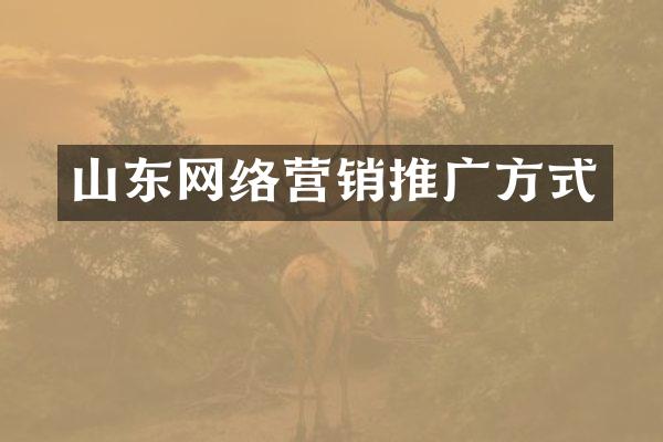 山东网络营销推广方式