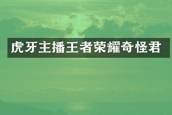 虎牙主播王者荣耀奇怪君