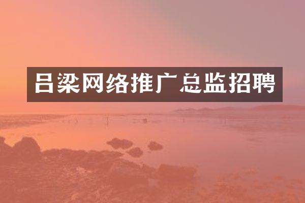 吕梁网络推广总监招聘