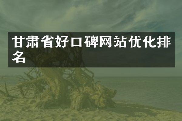 甘肃省好口碑网站优化排名