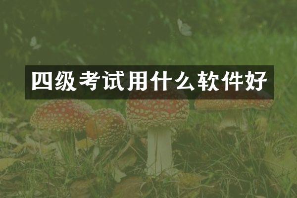 四级考试用什么软件好
