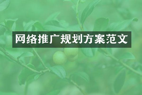 网络推广规划方案范文