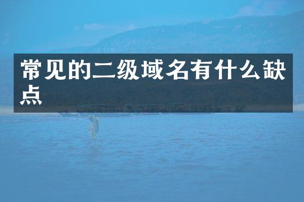 常见的二级域名有什么缺点