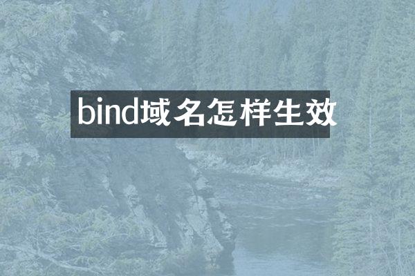 bind域名怎样生效