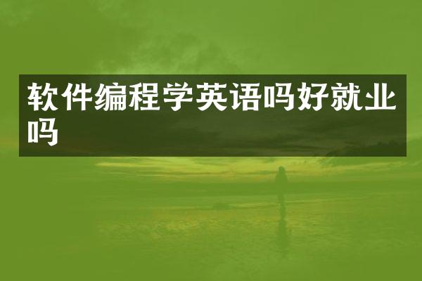 软件编程学英语吗好就业吗