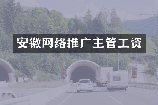 安徽网络推广主管工资