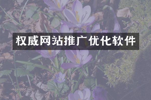 权威网站推广优化软件