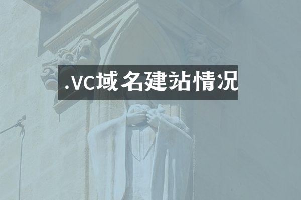 .vc域名建站情况