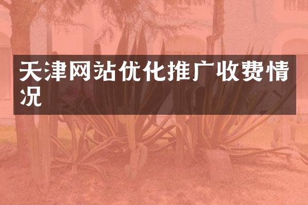 天津网站优化推广收费情况