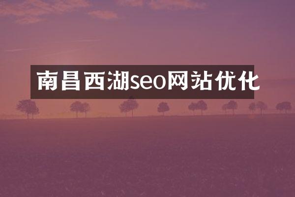 南昌西湖seo网站优化