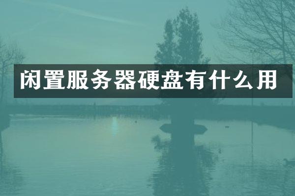 闲置服务器硬盘有什么用