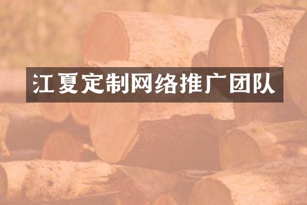 江夏定制网络推广团队