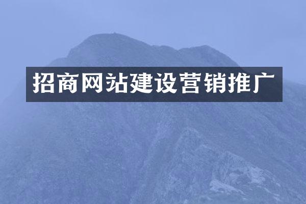 招商网站建设营销推广