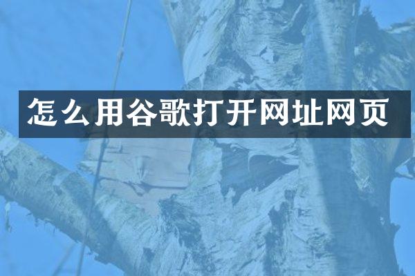 怎么用谷歌打开网址网页