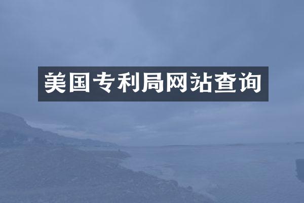 美国专利局网站查询