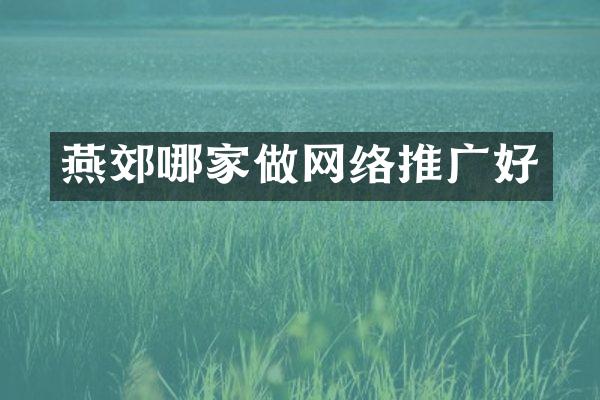 燕郊哪家做网络推广好