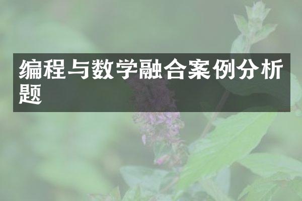 编程与数学融合案例分析题