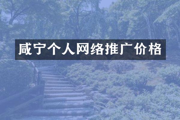 咸宁个人网络推广价格