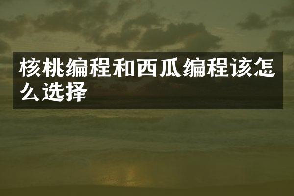 核桃编程和西瓜编程该怎么选择