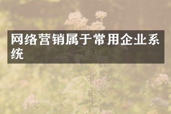 网络营销属于常用企业系统