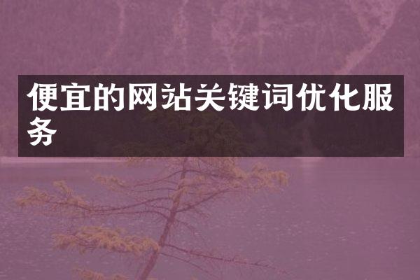 便宜的网站关键词优化服务