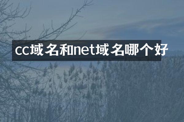 cc域名和net域名哪个好