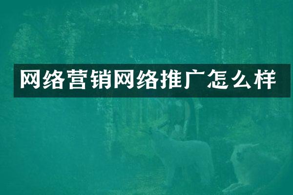 网络营销网络推广怎么样