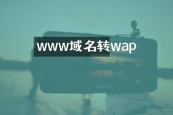 www域名转wap