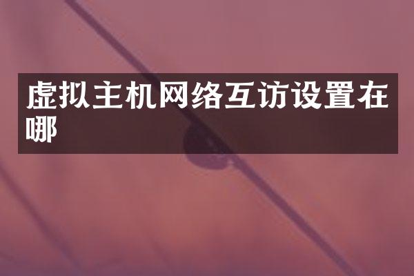 虚拟主机网络互访设置在哪