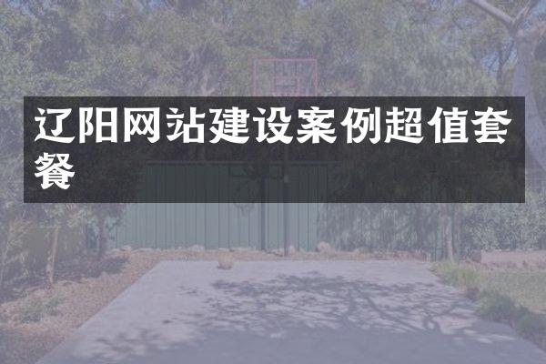 辽阳网站建设案例超值套餐